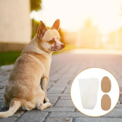 Vista 3 de Toddmomy Calcomanías de soporte para orejas de perro, 2 cajas de calcomanías de corrección de orejas para cachorros, herramienta de publicación