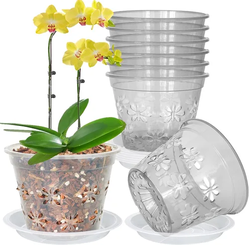 Vista 6 de Macetas transparentes para orquídeas, paquete de 8 unidades, 5 pulgadas