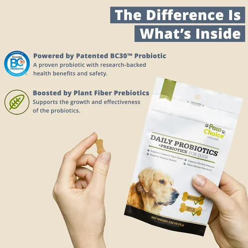 Vista 3 de Paw Choice Probióticos para perros con prebióticos – Masticables diarios para la salud intestinal, la digestión, la regularidad y el apoyo