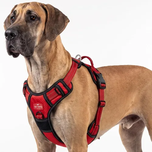 Vista 21 de Tuff Pupper Arnés para perro sin tirones, chaleco resistente para mascotas, clips para correa delantera y trasera, mango de seguridad fuerte