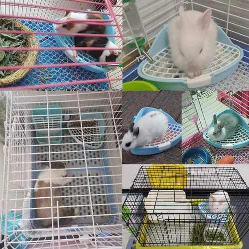 Vista 7 de Hamiledyi Caja de arena pequeña para conejo para jaula triangular, entrenador de orinal de esquina, conejo, inodoro, bandeja de plástico para Azul