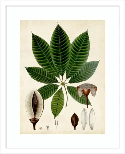 Vista 12 de Amanti Art Vision Studio - Lienzo decorativo para pared, 24 x 20 pulgadas, follaje verde VII por Vision Studio, arte de pared de naturaleza