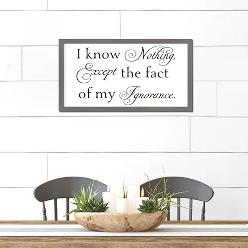 Vista 7 de Letrero de madera de estilo vintage de 12 x 22 pulgadas con texto positivo en inglés "I Know Nothing Except the Fact of My Ignorancance
