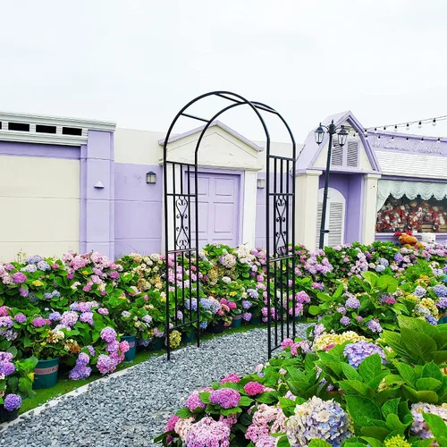 Vista 6 de Cenador de pérgola de metal, 100 pulgadas de alto x 45 pulgadas de ancho, arco de jardín para ceremonia de boda, fiesta, plantas de hierro curvado