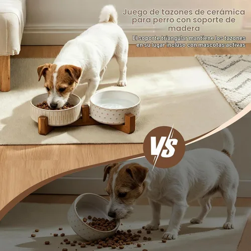 Vista 5 de Juego de cuencos de cerámica para perros con soporte de madera