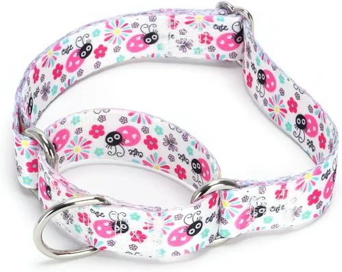 Vista 42 de Collar de perro de nailon resistente, collar ajustable de martingala para perros para caminar y entrenamiento para perros machos y hembras perros