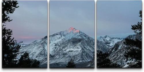 Vista 87 de wall26 Lienzo enmarcado para pared, juego de arte de selva, rana, hoja de palmera, naturaleza, desierto, arte moderno, realismo, decorativo