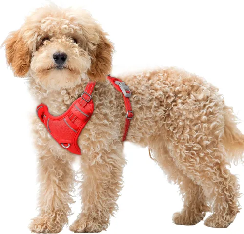 Vista 39 de BARKBAY Arnés para Perro Sin Tirones Talla Grande Arnés Reflectante para Perro con Clip Frontal y Asa de Control Fácil para Caminar Entrenar Correr