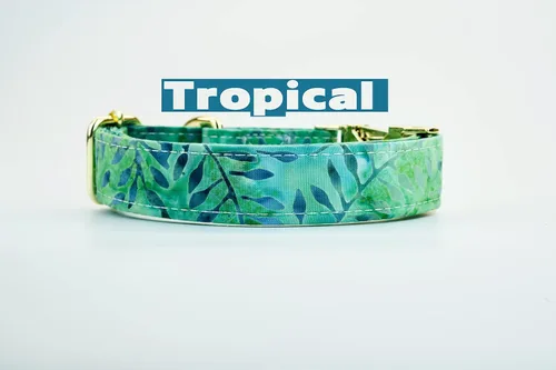 Vista 4 de Tropical Green Dog Collar w/Metal Buckle or Plastic Hand Made Custom Engraved Personalized Collar 1 inch Wide Designer Collars