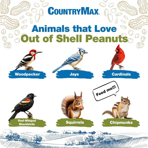 Vista 3 de CountryMax Cacahuetes enteros sin cáscara de 10 libras para pájaros