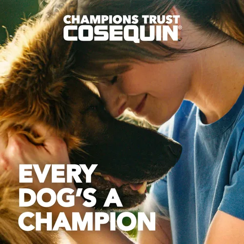 Vista 2 de Nutramax Laboratories Cosequin DS Plus MSM Professional Line para perros, 60 masticables suaves