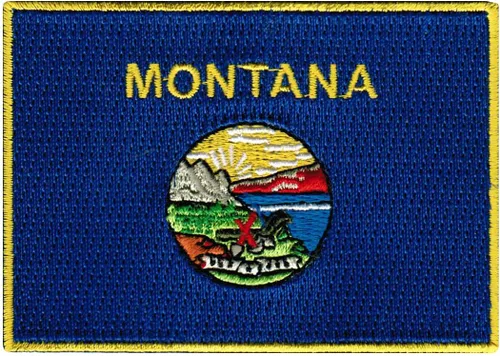Vista 12 de Parche Bordado de la Bandera del Estado de Minnesota, Emblema MN, Planchado, Versión 2024