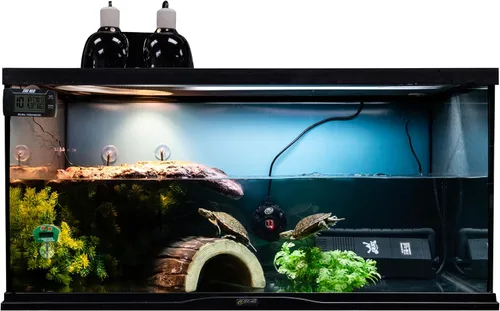 Vista 6 de Zoo Med, juego de rayo de calor y UVB para tortuga acuática