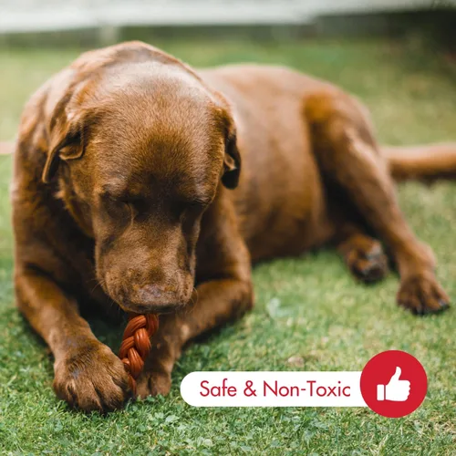 Vista 3 de SPOT by Ethical Products - Varilla trenzada de bambú, anillo, juguete triple masticable, juguetes para perros con sabor a nogal y bisonte, compras