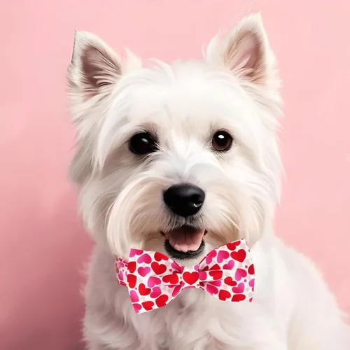 Vista 36 de Tunkoo Collar de otoño para perro con elegante pajarita, duradero, ajustable y elegante collar de otoño para mascotas, disponible en tamaño pequeño
