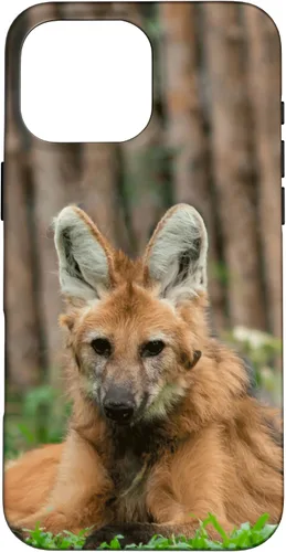 Vista 19 de Funda para iPhone 13 Pro Max Maned Wolf