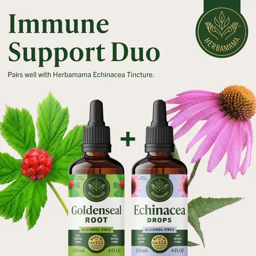 Vista 7 de HERBAMAMA Tintura Goldenseal - Apoyo inmunológico y digestión