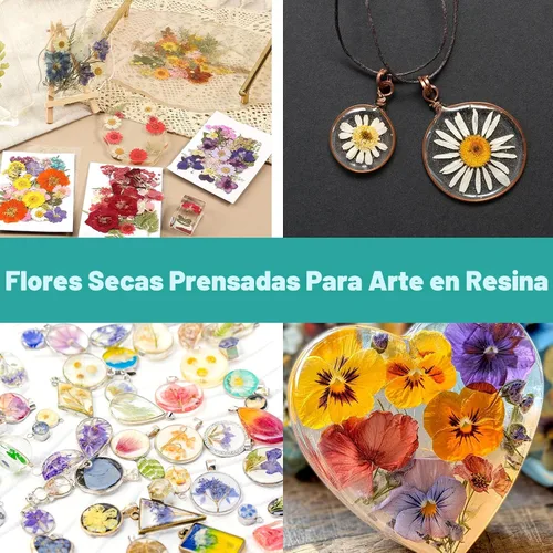 Vista 6 de Flores secas, 58 flores prensadas Resiners para manualidades Berry Red 58pcs