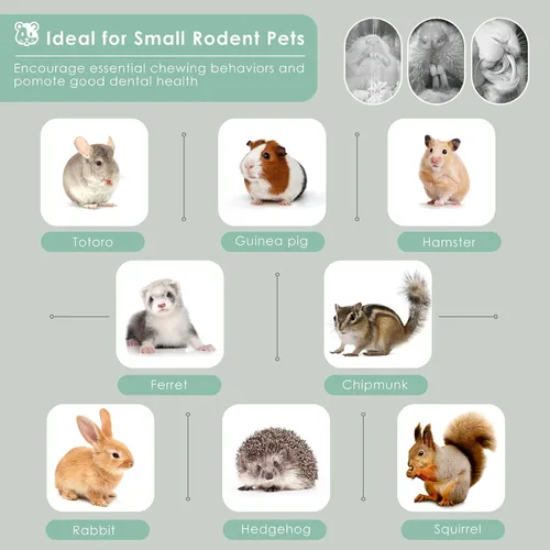 Vista 7 de Bissap Palitos masticables de bambú dulce de 8.82 oz/0.5 libras para conejos, golosinas molares de conejo, bocadillos para animales pequeños