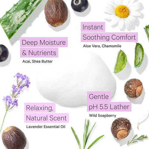 Vista 5 de Tree to Tub Loción corporal de manteca de karité de lavanda para piel seca y piel sensible, lavado facial para piel seca, loción hidratante