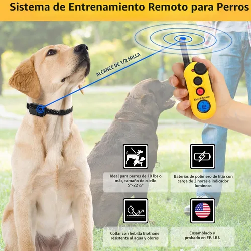 Vista 3 de E-Collar Educator EZ-900 - Collar de adiestramiento para perros con mando a