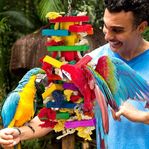 Vista 5 de Juguetes para pájaros de madera natural extra grandes para guacamayos, gris
