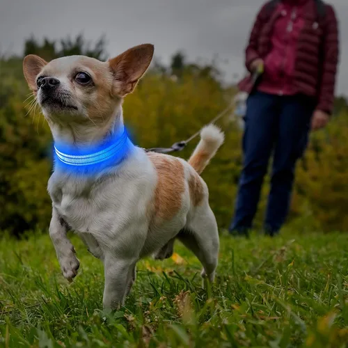 Vista 6 de Illumifun Collar LED para Perros Pequeños - Collar de Seguridad para Perros con Luz Recargable por USB, Collar con Luz de Correa de Nailon Ajustable