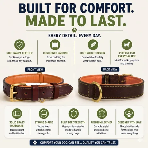 Vista 3 de Collar de perro de cuero para perros medianos, marrón, 1 pulgada de ancho, cuero genuino de grano completo, resistente con acolchado interior suave