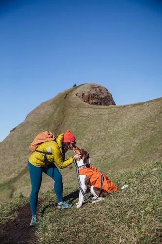 Vista 2 de Ruffwear, Combo de arnés y chaqueta Overcoat Fuse para perros, Naranja Canyonlands, Mediano Púrpura (Purple Sage)