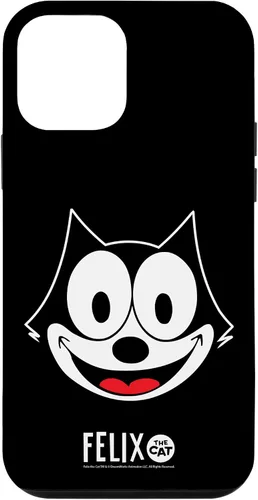 Vista 16 de Funda para disfraz de Halloween de cara grande para iPhone 16