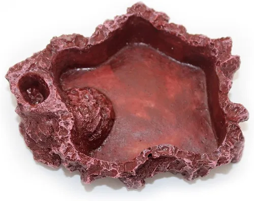 Vista 14 de OMEM Reptile Natural Bowl Plato de comida y agua hecho en resina (2 unidades, gris, S)