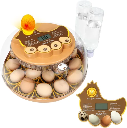 Vista 17 de Nest I - Incubadora de 12 huevos para principiantes, giro automático de huevos, humedad constante con botella de agua de recarga automática