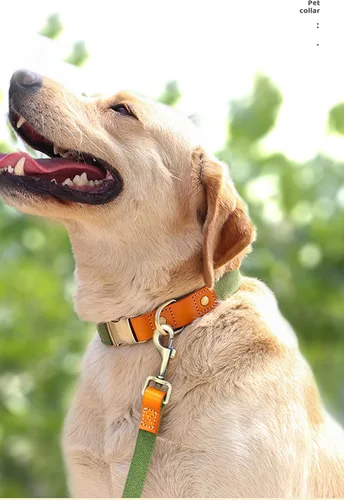 Vista 6 de Collar de perro personalizado para perros pequeños, medianos y grandes, collar de perro con hebilla de metal, collar de perro de cuero personalizado