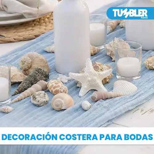 Vista 4 de Conjuntos de conchas – perfecto para manualidades, decoración del hogar de playa, bodas, relleno de jarrón y aulas.