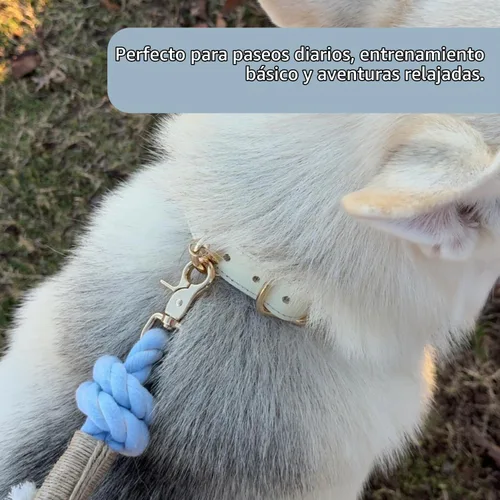 Vista 5 de Puppysentials Correa de perro de cuerda de algodón trenzada de 5 pies para Azul claro
