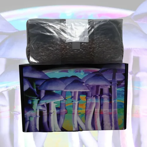 Vista 5 de Bolsa de cultivo de hongos todo en uno Jumbo de 6 libras