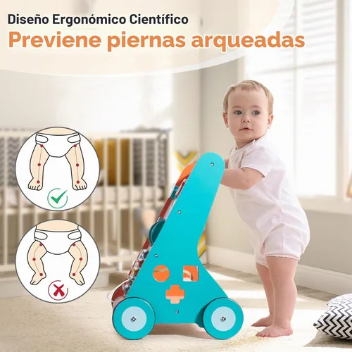 Vista 5 de LOL-FUN Andador de empuje para bebé de 12 meses de juguete de madera