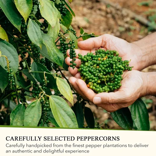 Vista 6 de ALPONT GOURMET Whole Black Peppercorns - Whole Peppercorns for Grinder Refill - Ideal for BBQ, Curries, Spice Blend, Meat & Seafood - 2.01oz