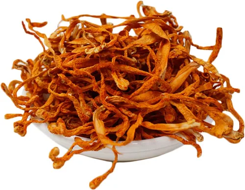 Vista 6 de Flor Cordyceps de 16 onzas, hongo Cordyceps seco 100% natural, apoya la función inmunológica energética para sopa/cocina/enfriamiento/té