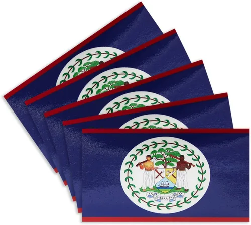 Vista 28 de CANTENDO 5 calcomanías de vinilo reflectante de la bandera argentina para parachoques de ventana de coche, adhesivo impermeable (2.5 x 4.5 pulgadas)