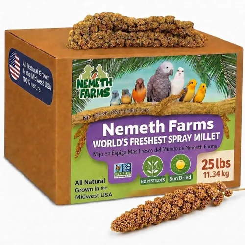 Vista 10 de Nemeth Farms Spray Millet - Tapas comestibles solamente, sin OMG y secado al sol, 1 libra para periquitos, canarios y pinzones