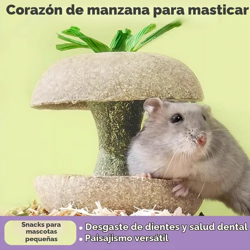 Vista 4 de mini&moe Juguetes masticables de hámster para dientes, conejillo de indias, juguetes masticables para dientes, golosinas masticables para alimentos