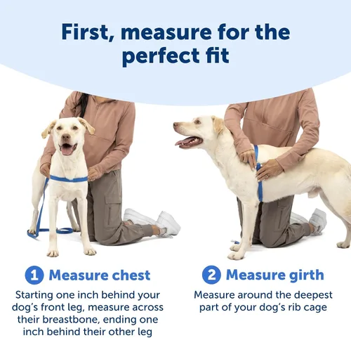 Vista 4 de PetSafe Easy Walk - Arnés para perro, sin tirones, gris carbón Carbón/Negro