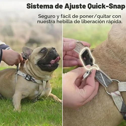 Vista 4 de Juego de arnés para perro con correa y collar de corbatín - Arnés para cachorro a cuadros beige, a prueba de escape, chaleco ajustable sin tirones