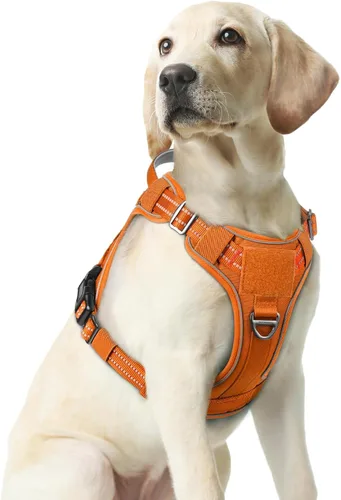 Vista 18 de rabbitgoo - Arnés para perros pequeño sin tirones, chaleco táctico de servicio con Molle y asa de control, arnés militar ajustable y reflectante