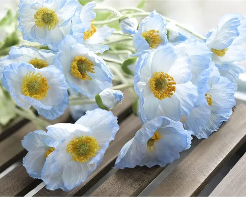 Vista 5 de FiveSeasonStuff Ramo de flores artificiales de amapolas de seda para recuerdo, hogar, boda, 22 pulgadas, 6 tallos (azul hielo antártico)