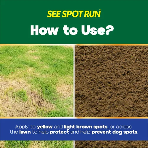 Vista 6 de Producto neutro See Spot Run