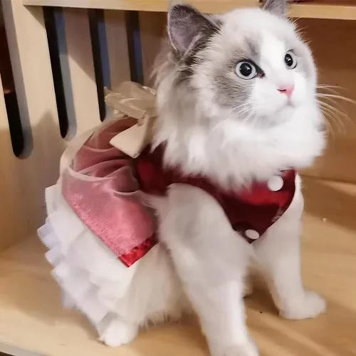 Vista 13 de ANIAC Daisy Vestidos para Perros Pequeños Hembra con Anillo para Correa, Nudo de Lazo Vestido de Boda para Cachorra, Traje de Gato de San Valentín