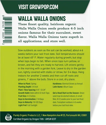 Vista 3 de Semillas de cebolla orgánicas (Walla Walla) – Aproximadamente 200 semillas – USDA Organic, sin OMG, polinizado abierto, reliquia, origen