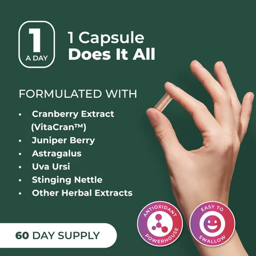Vista 7 de PurePremium Suplemento de apoyo renal con extracto de arándano, limpieza renal, desintoxicación y reparación para hombres y mujeres, apoyo